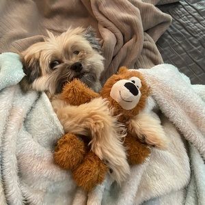 Meet your Posher, Cathy